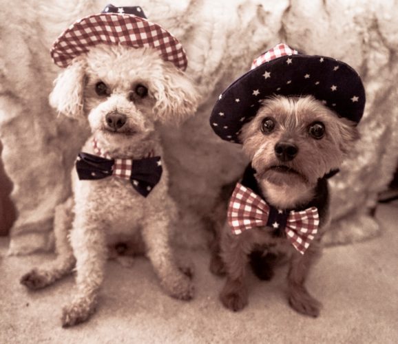 Fourth of July bow ties and hats