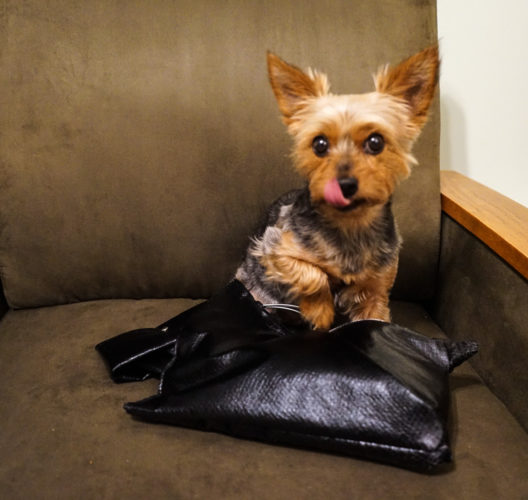 Origami Scottie Dog Bag