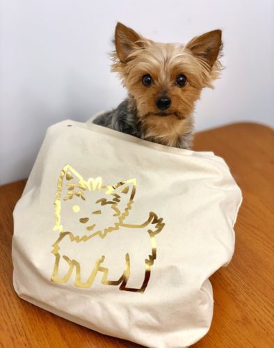 Yorkshire terrier tote